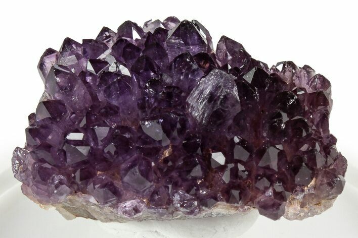 Dark Purple Amethyst Cluster - Alacam Mine, Turkey #347629